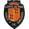 comte_de_foix