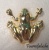 Grenouille dorée: Fin (25mm) et Partiel (30cm)