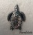 Tortue argentée: Aucun