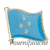 micronsie